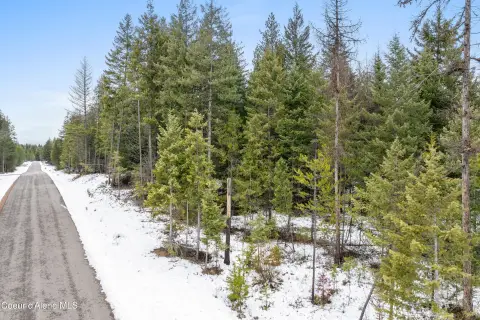 Spirit Lake Wooded Parcel