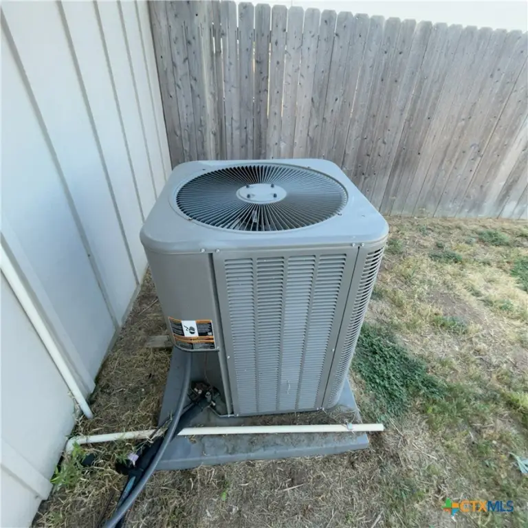 Picture 27