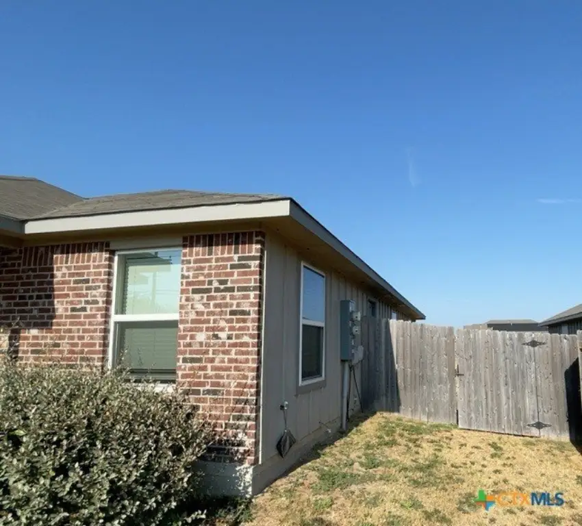 Picture 16