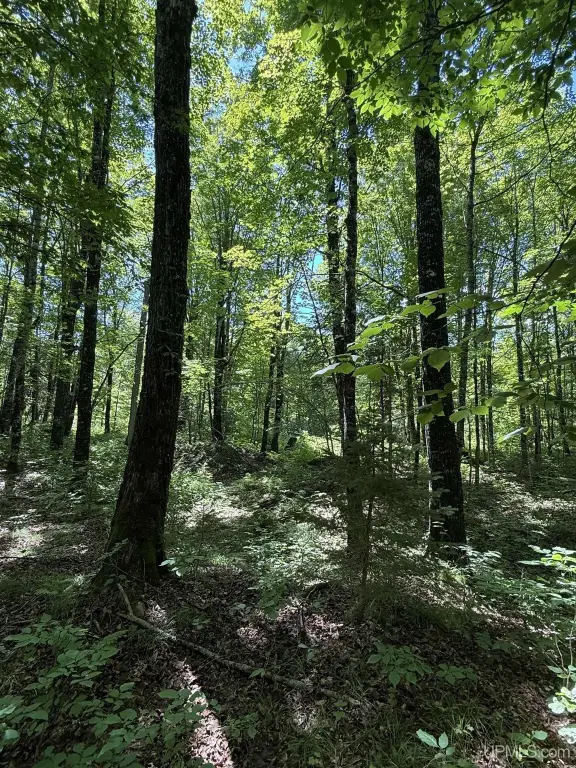 Picture 3