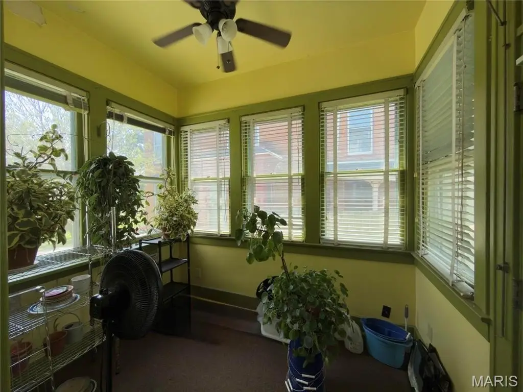 Picture 15