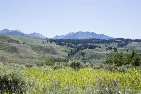 Cameron, MT Land with Views