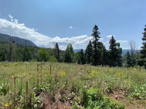 Land with Mountain Views