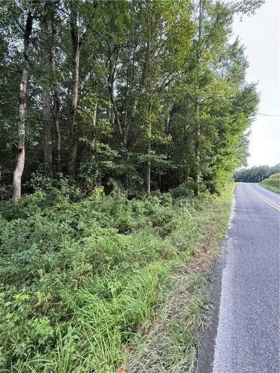 Picture 4
