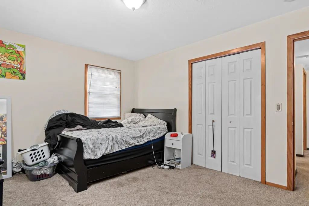 Picture 14