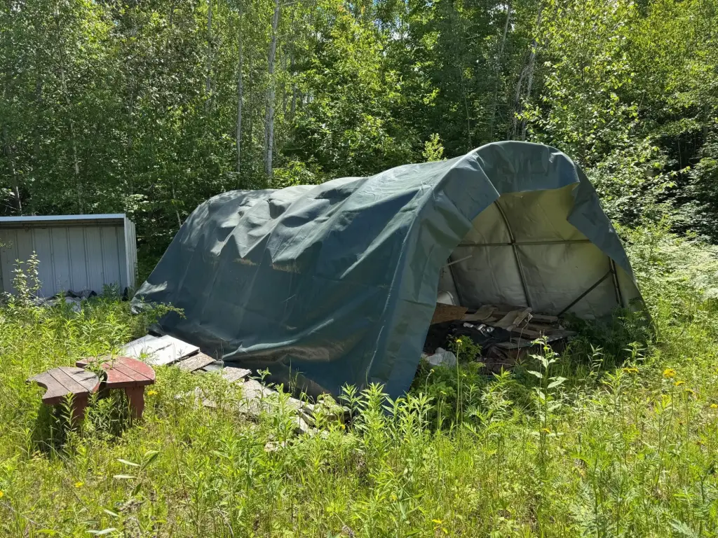 Picture 21