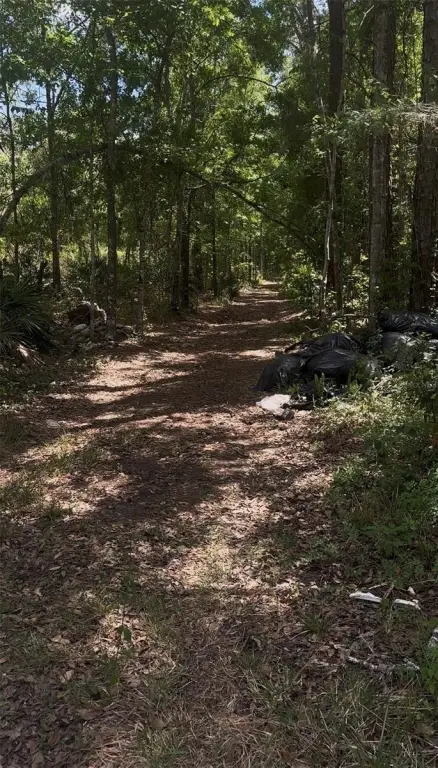 Picture 3