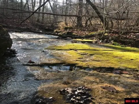 Unrestricted Acreage with Ozark Stream