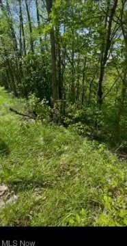 Buildable Land in East Liverpool