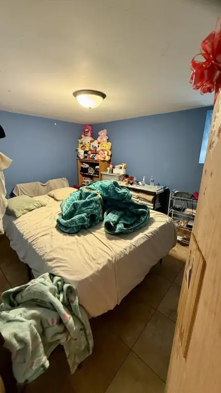 Picture 28