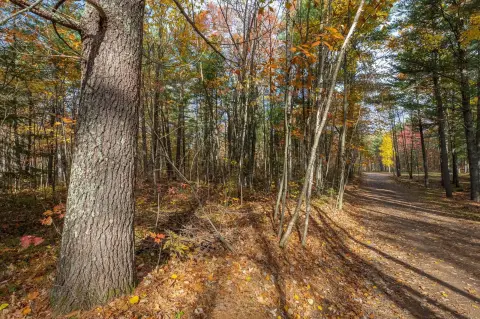Land in Lac du Flambeau