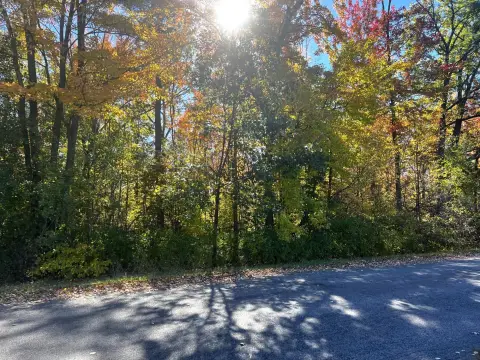 70 Acres Wooded Land Near Lake