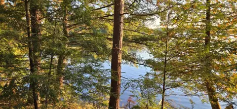 Waterfront Land in Presque Isle