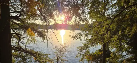 Waterfront Land on Armour Lake