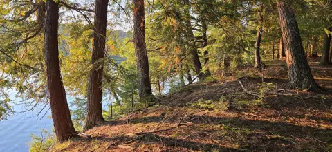 Waterfront Land in Presque Isle