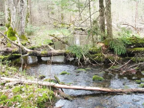 Birchwood Land with Lake Access