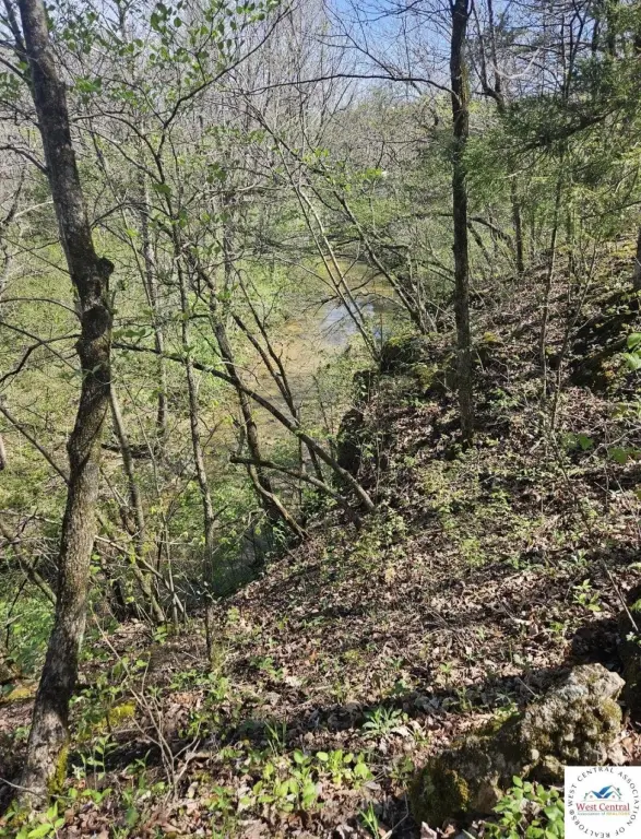 Picture 4
