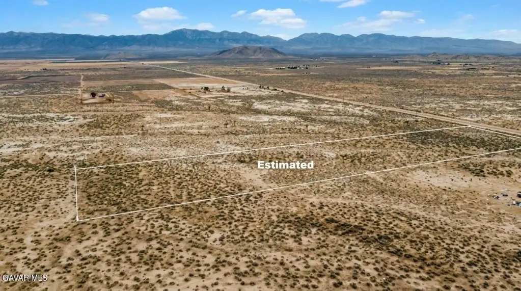 Picture 19