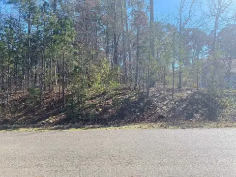 Residential Lot in Hot Springs