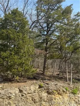 Residential Land in Four Seasons