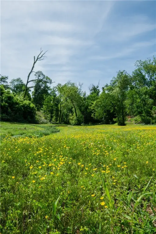 Picture 46
