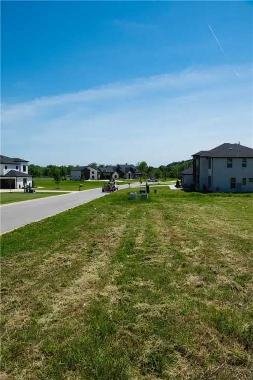 Picture 19