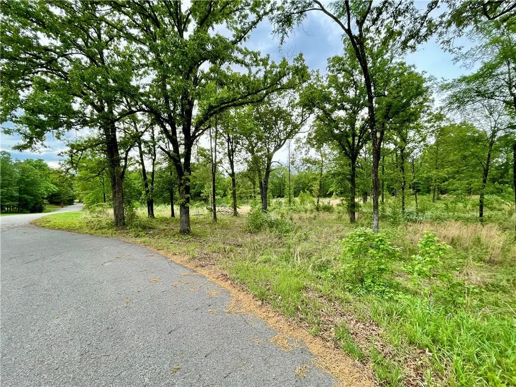 Picture 17