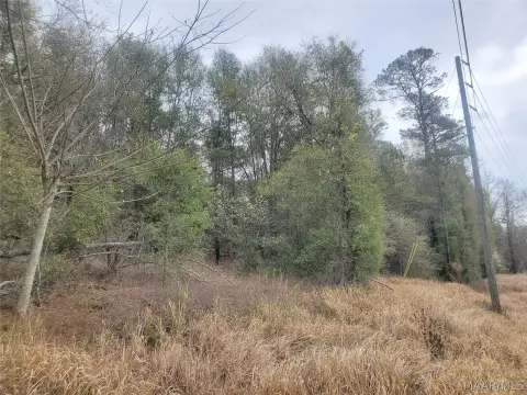 Unrestricted Land in Gilbertown, AL