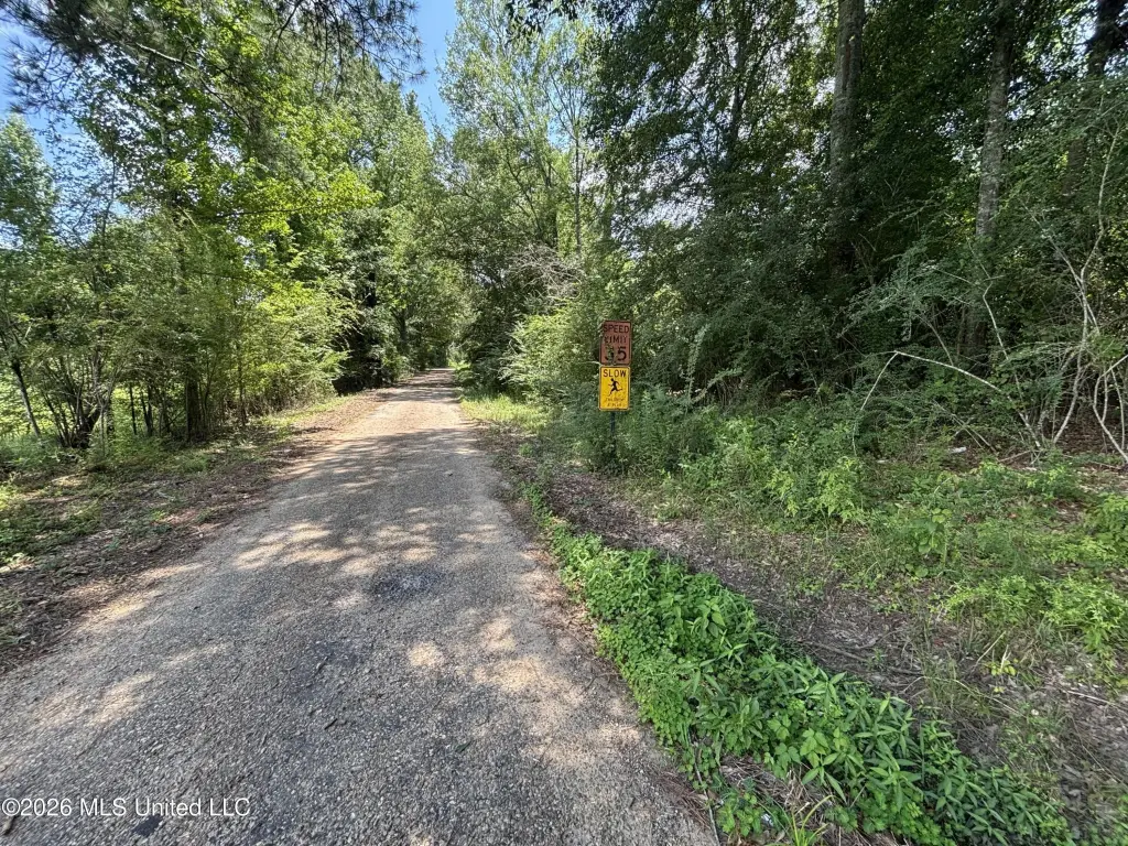 Picture 21