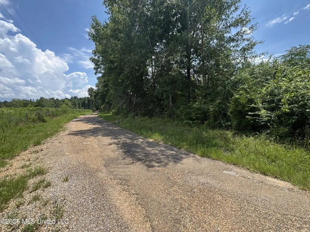 Picture 24