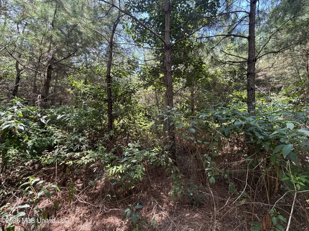 Picture 25