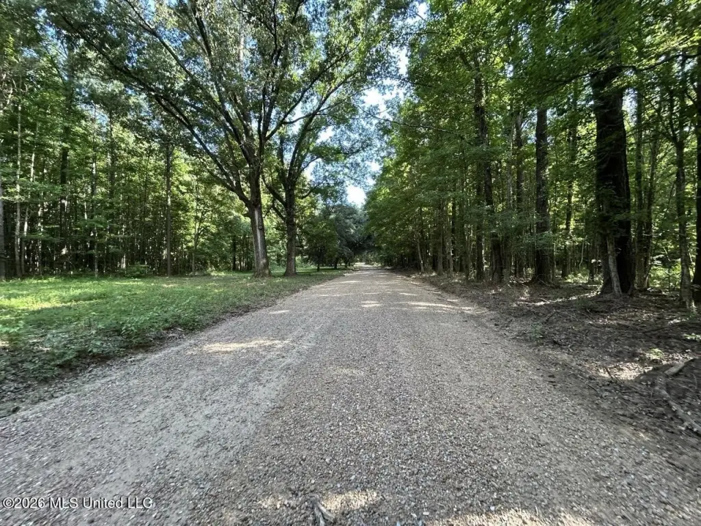 Picture 41