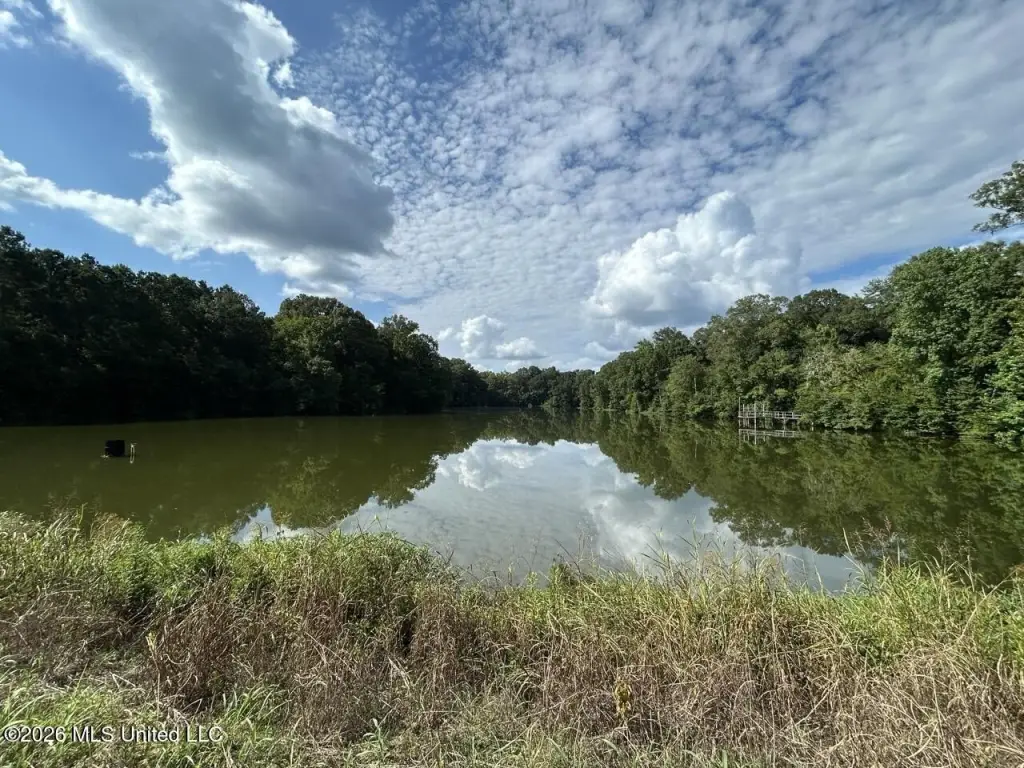 Picture 39