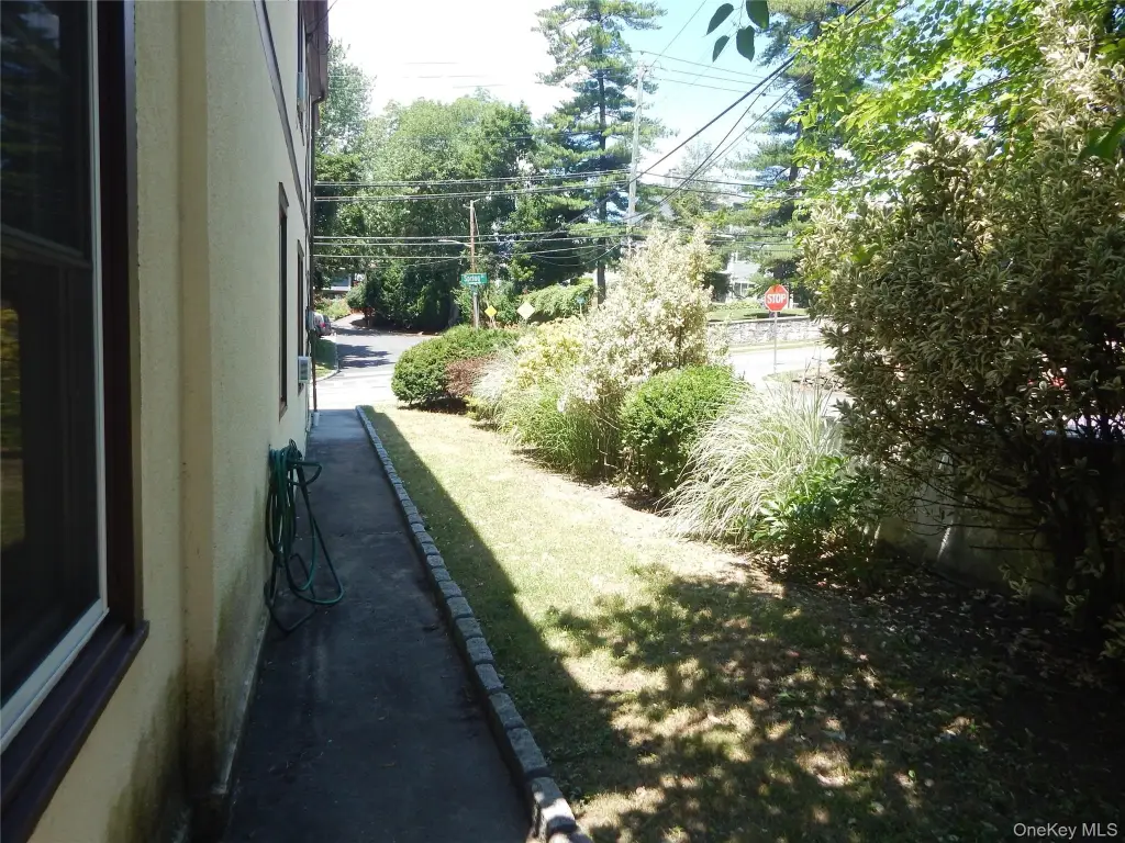 Picture 16