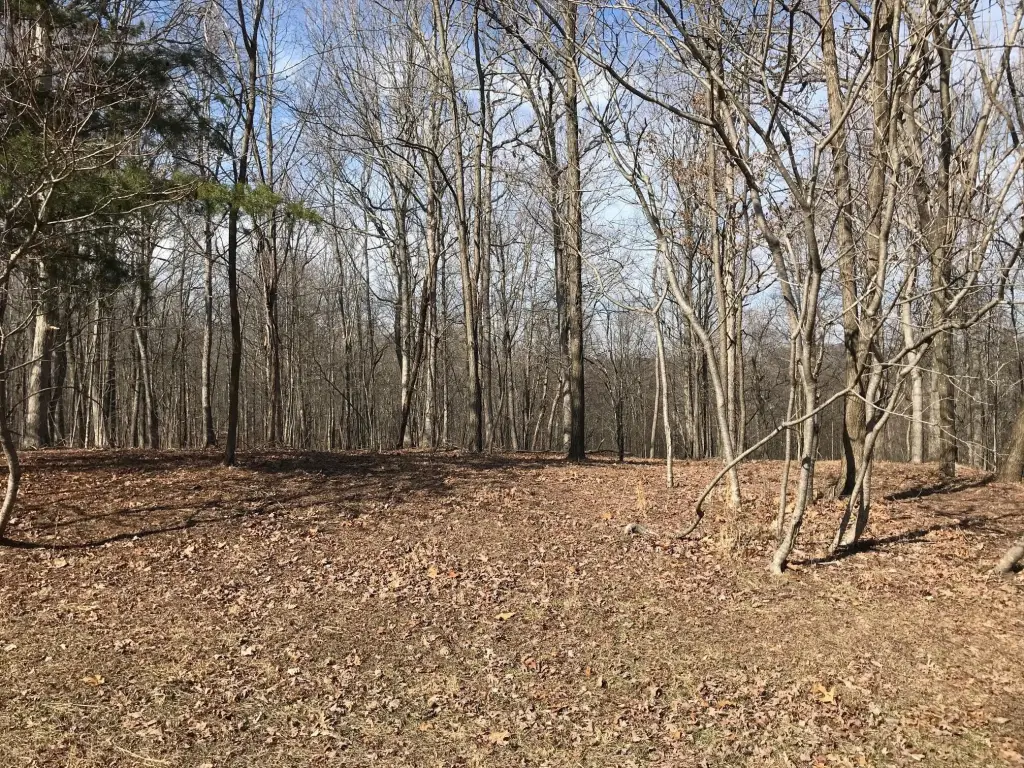 Picture 19