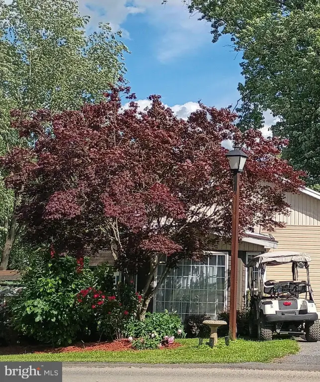 Picture 25