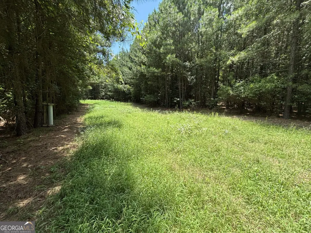 Picture 18