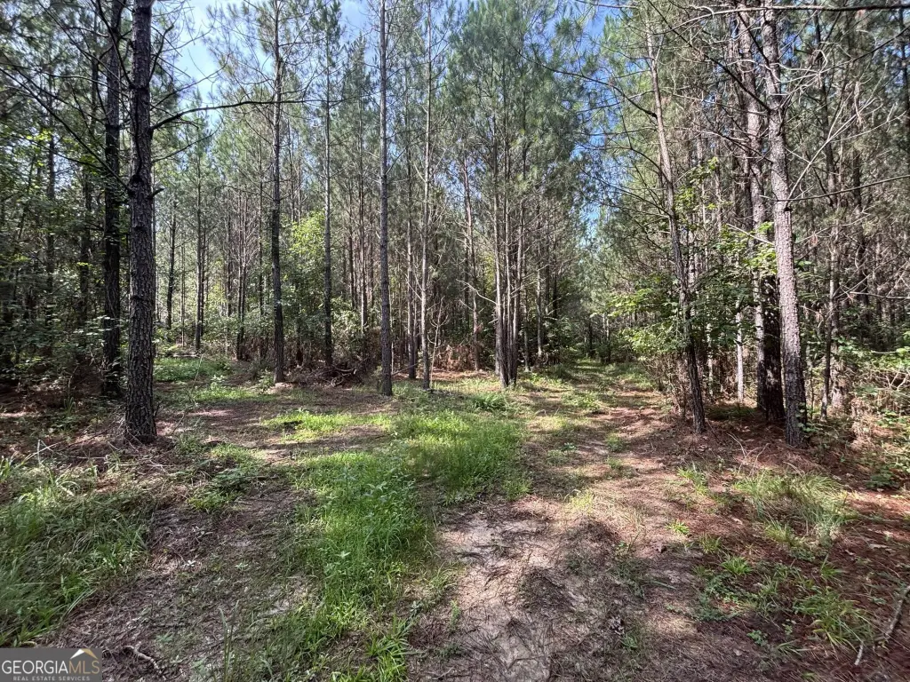 Picture 19