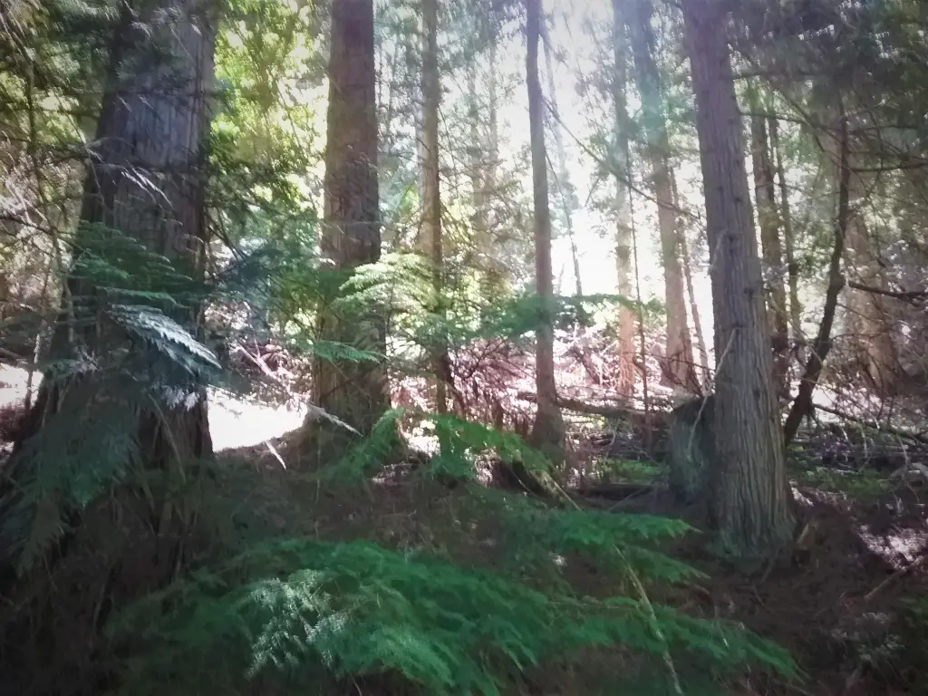 Picture 10