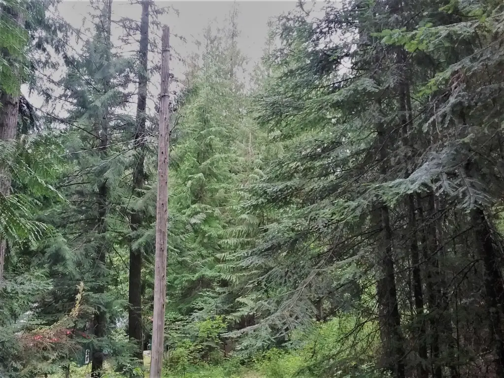 Picture 14