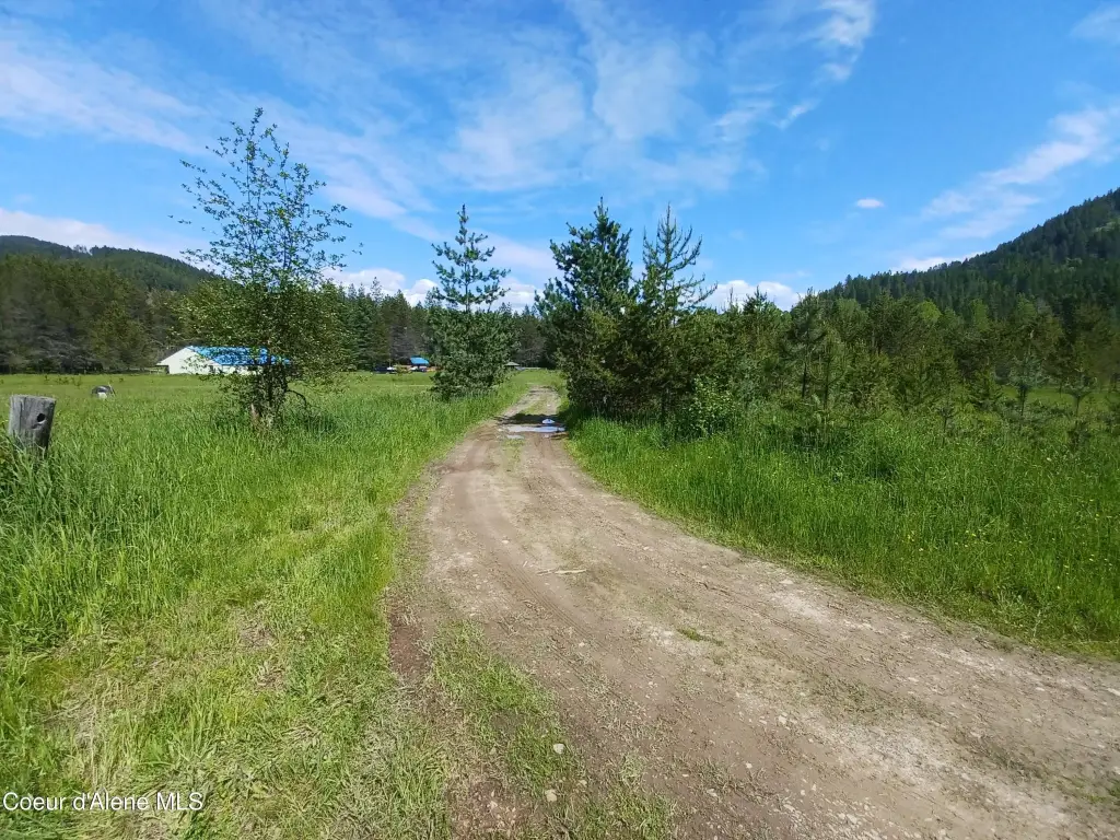 Picture 19