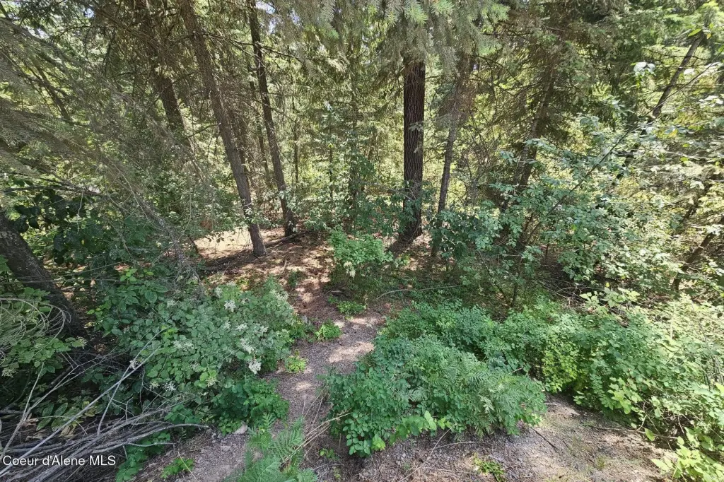 Picture 10