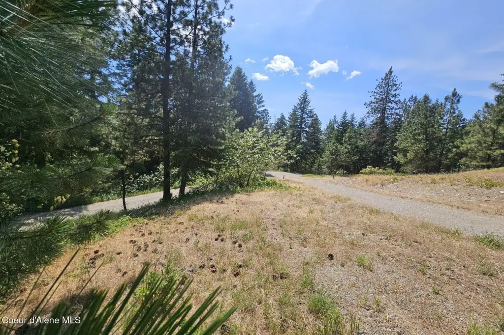 Picture 20