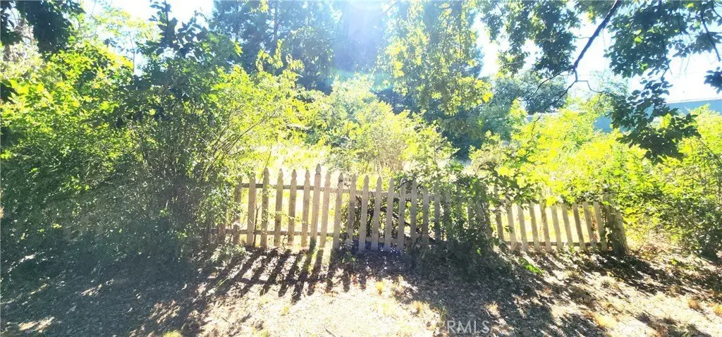 Picture 9