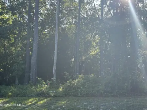 Vacant Lot in Quiet Community