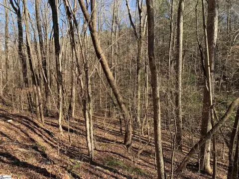 Marietta, SC Acreage with Stream