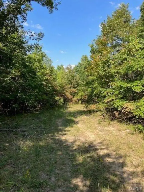 Picture 3