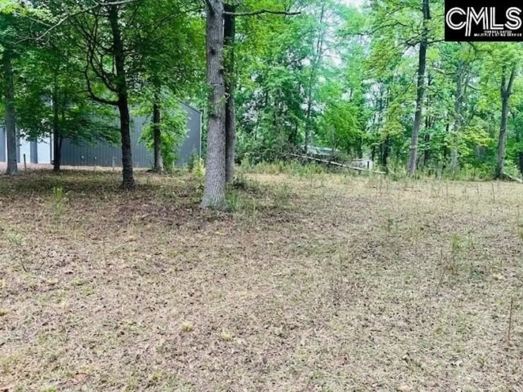 Picture 2