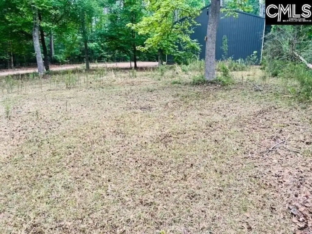Picture 4