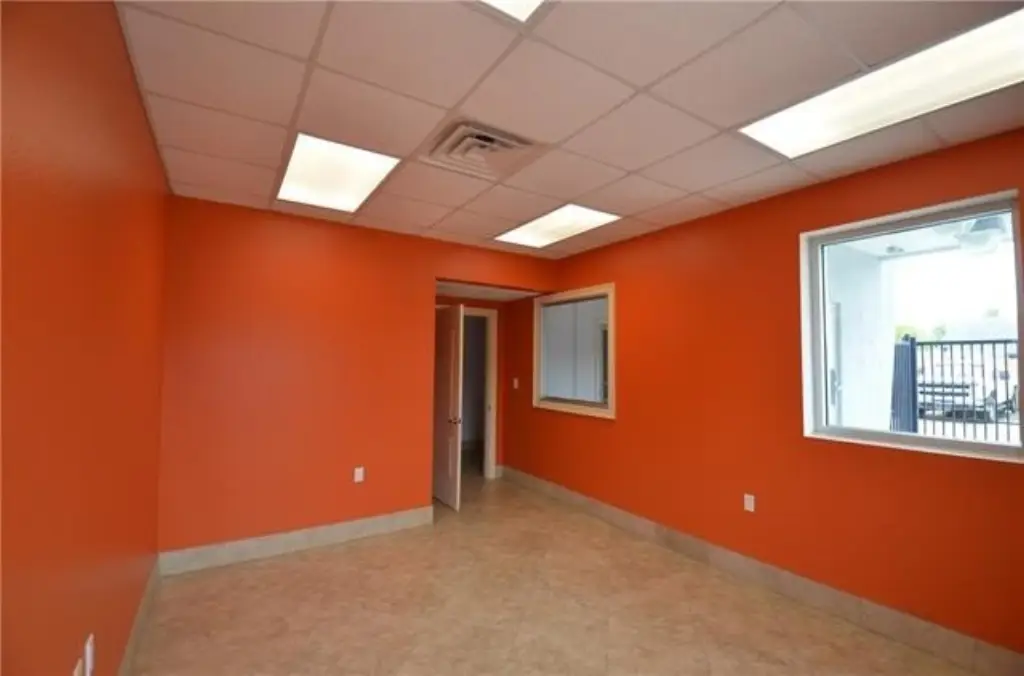 Picture 5